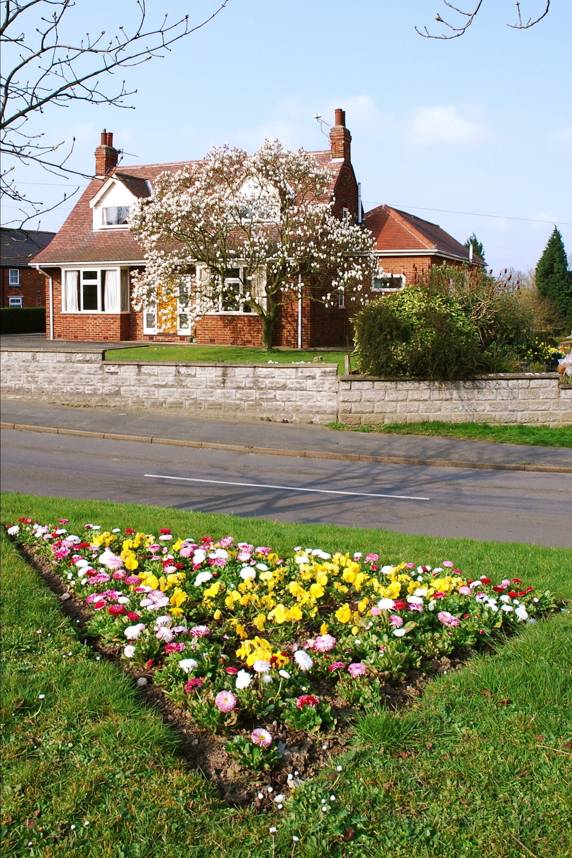 Flowerbeds in Full Bloom