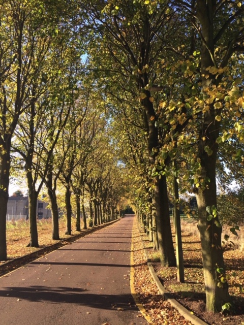 York Road, Kirton in Lindsey