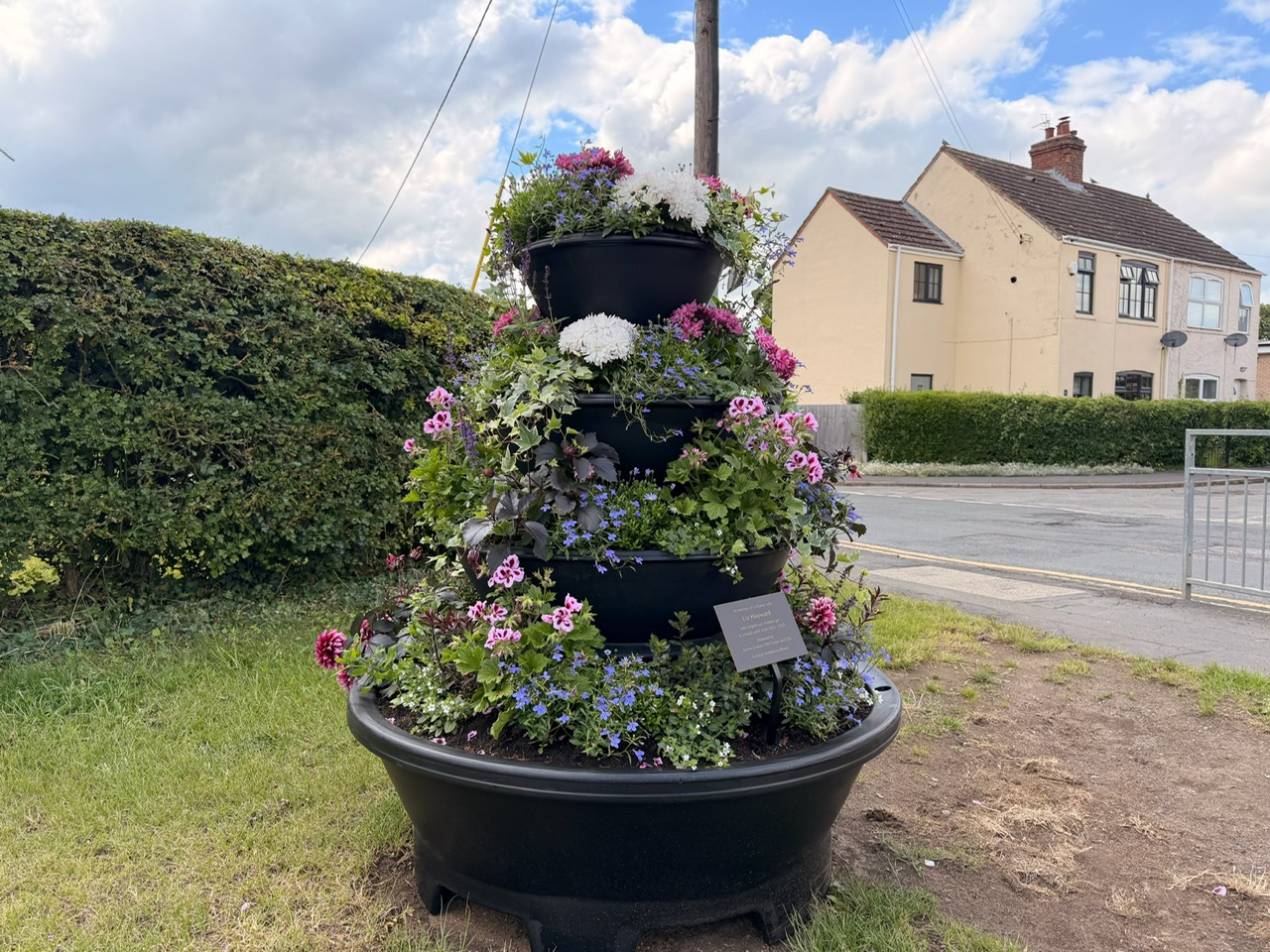 Liz Hayward Memorial