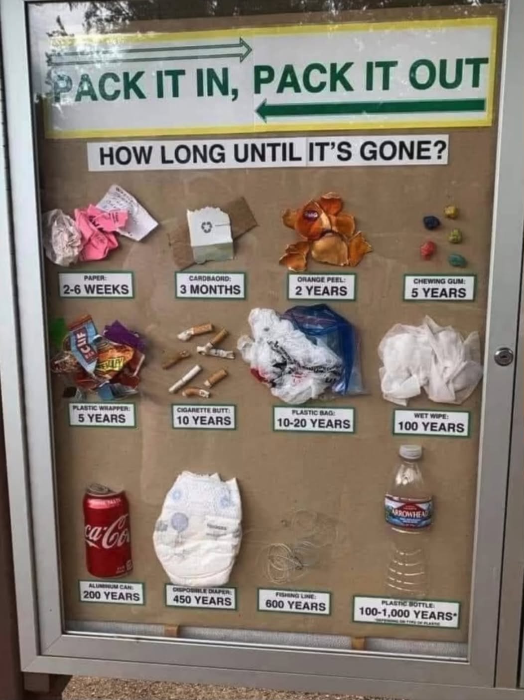 How long litter takes to degrade.jpg