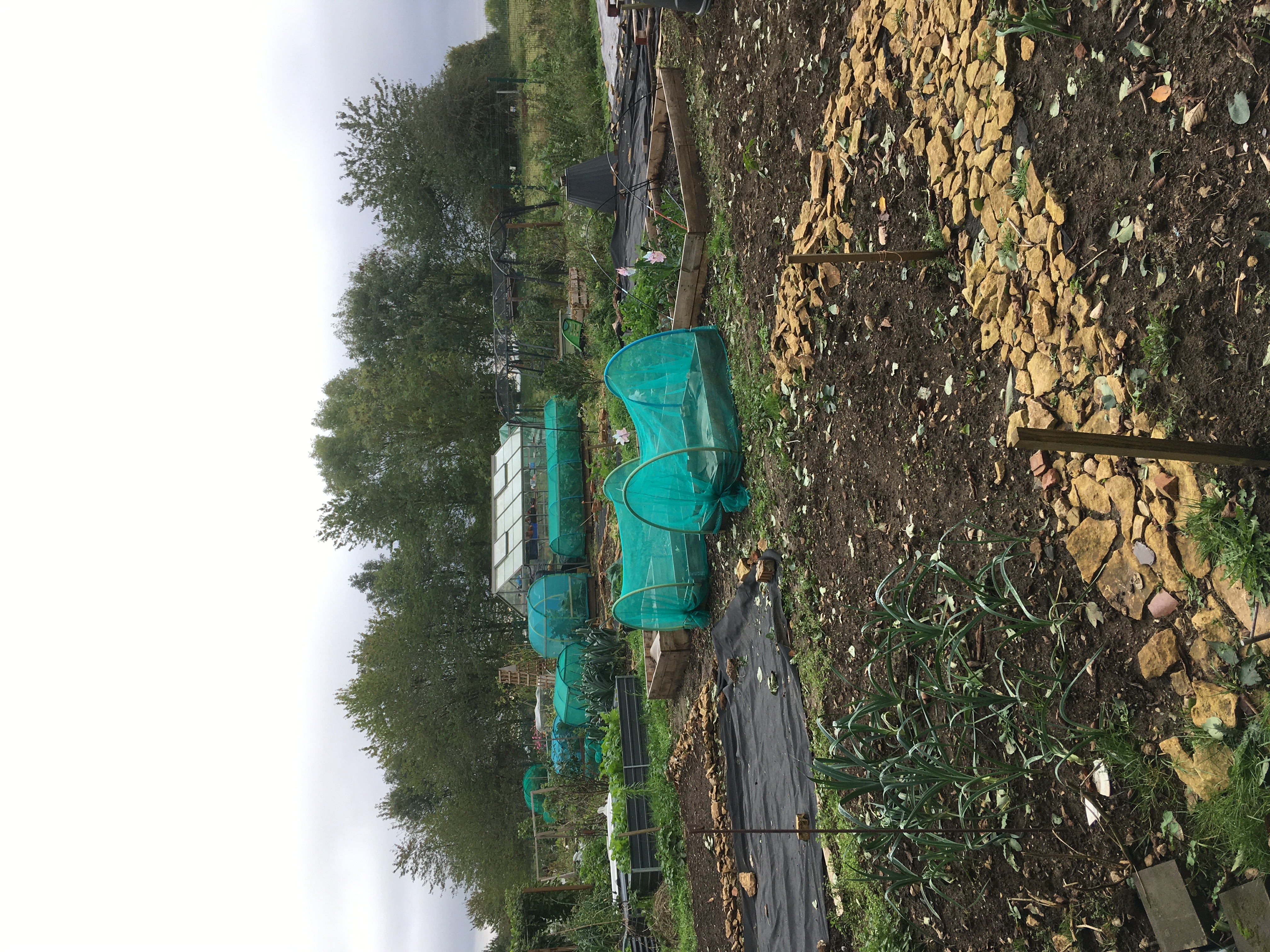 Allotments view 1 2023