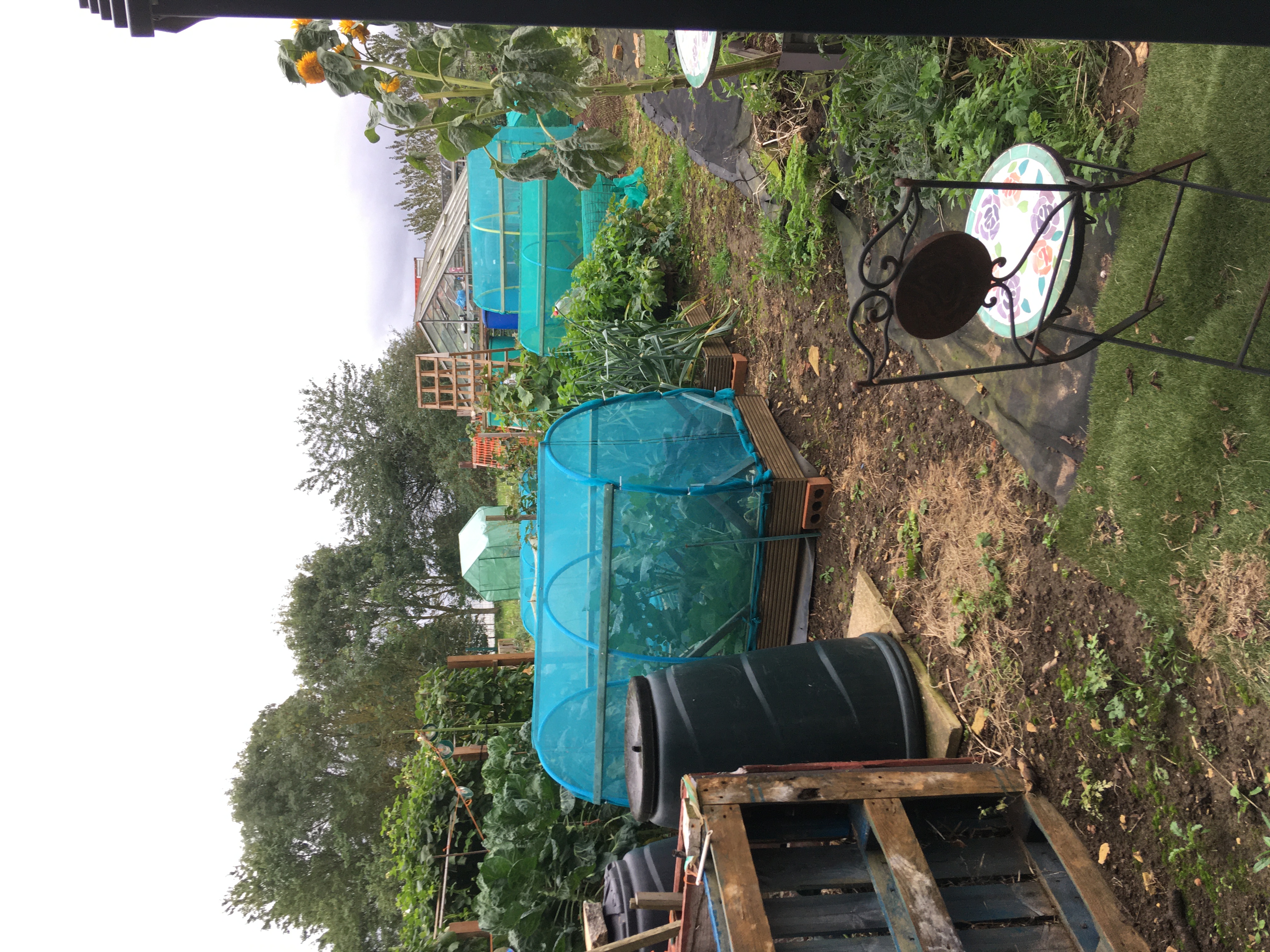 Allotments view 2 2023
