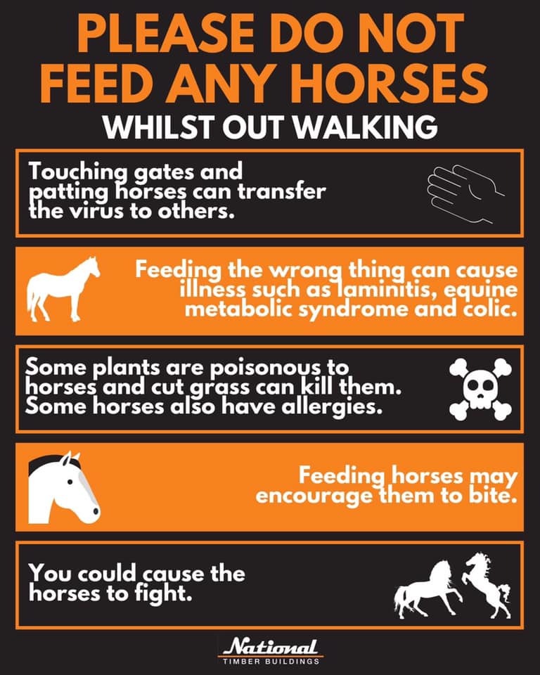 Do Not Feed Horses notice